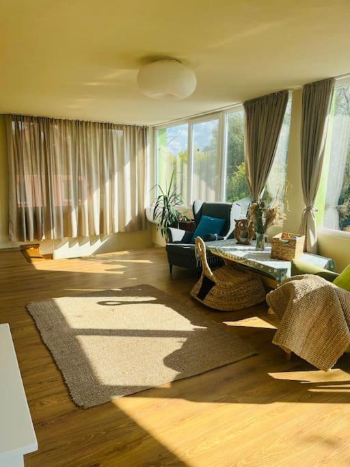 Casa Din Povesti In Mijlocul Naturii! Arad Ngoại thất bức ảnh