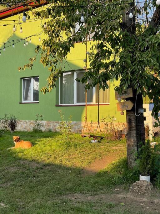 Casa Din Povesti In Mijlocul Naturii! Arad Ngoại thất bức ảnh