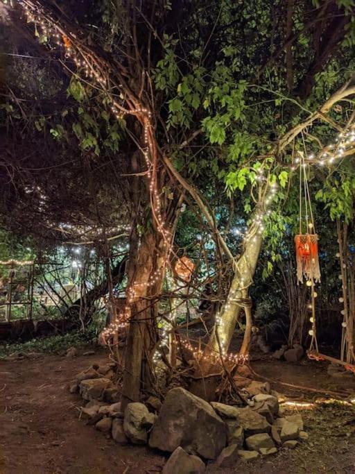 Casa Din Povesti In Mijlocul Naturii! Arad Ngoại thất bức ảnh