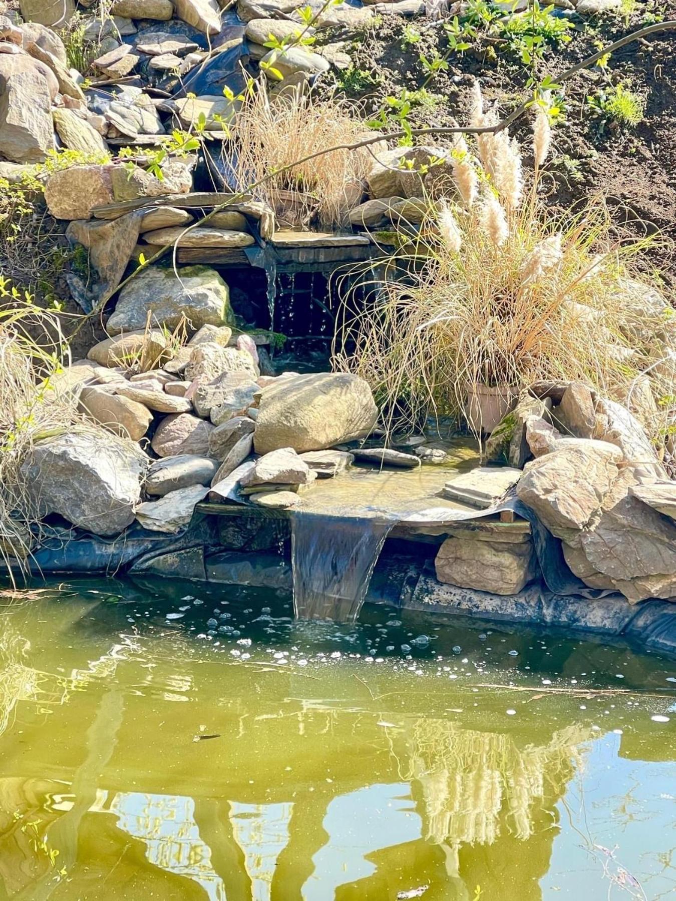 Casa Din Povesti In Mijlocul Naturii! Arad Ngoại thất bức ảnh
